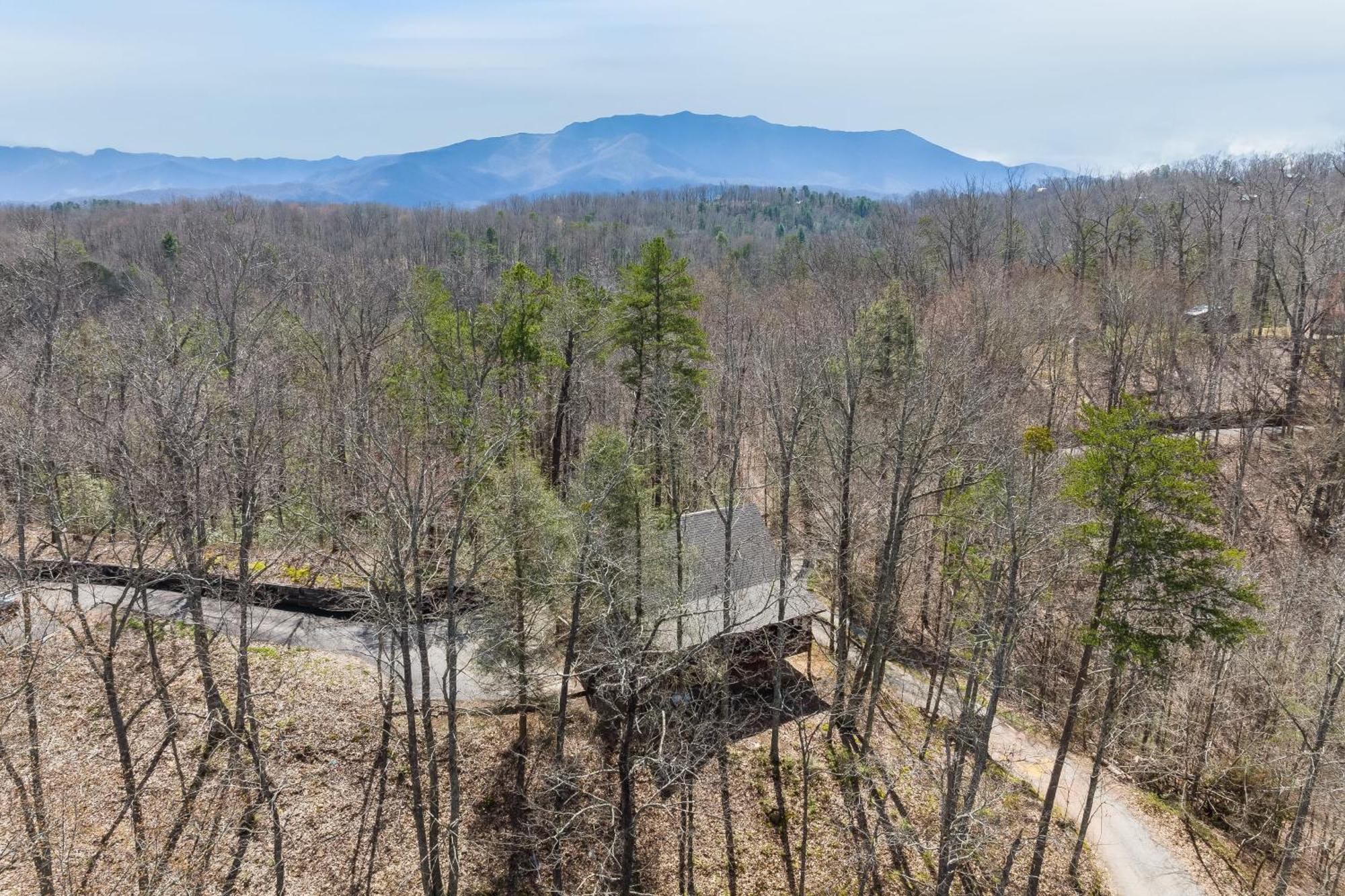 Dudley II By Avantstay Comfortable Cabin W Hot Tub Views Pigeon Forge Dış mekan fotoğraf